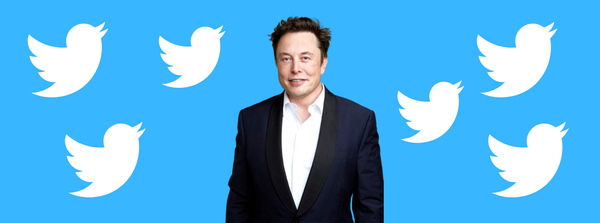 Musk rachète Twitter : eh merde...