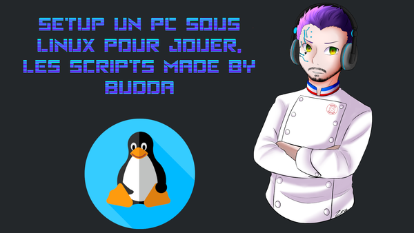 Setup un PC sous Linux pour jouer, les scripts made by Budda