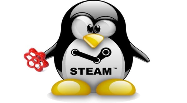 Linux dépasse les 5% de parts de marché sur Steam